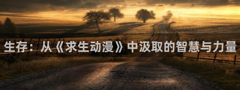 哈哩哈哩网页进入