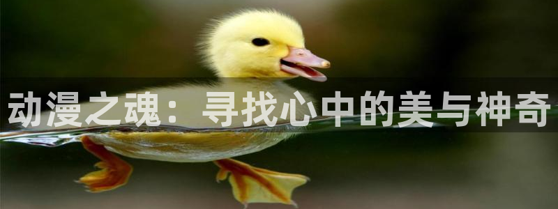 哈哩哈哩动漫站：动漫之魂：寻找心中的美与神奇