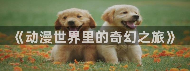 halihaili哈哩哈哩官网：《动漫世界里的奇幻之旅》