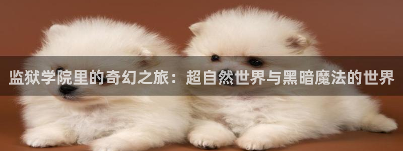 哈哩哈哩4com：监狱学院里的奇幻之旅：超自然世界与黑暗魔法的世界