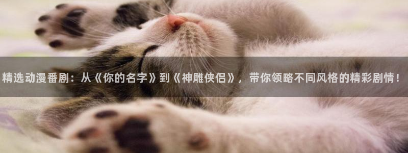 哈哩哈哩官网哈哩哈哩：精选动漫番剧：从《你的名字》到《神雕侠侣》，带你领略不同风格的精彩剧情！